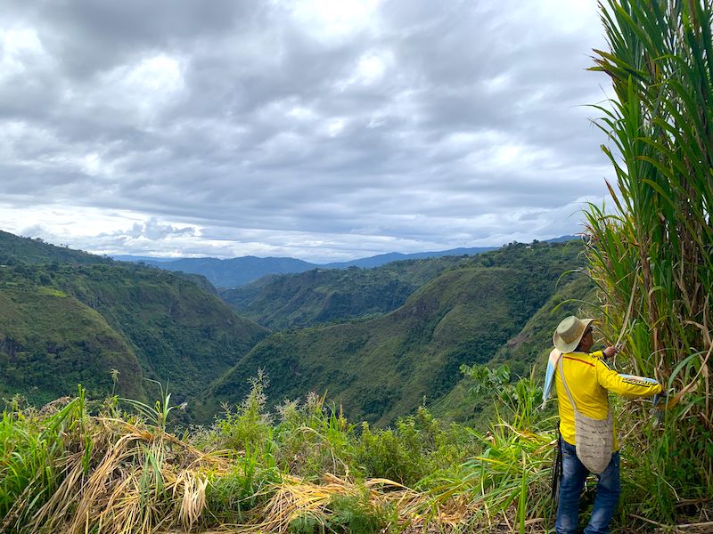 Corona in Kolumbien